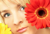 women_beauty_gerbera_female_fl