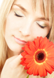 women_beauty_gerbera_female_fl