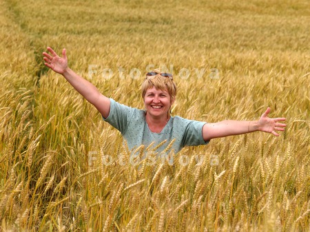 поле,_пшеничное,_