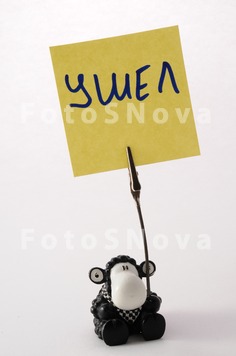 белый,_фон,_желты