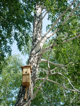 скворечник,_скво