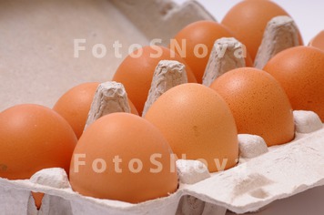 _яйца,_куриные,_