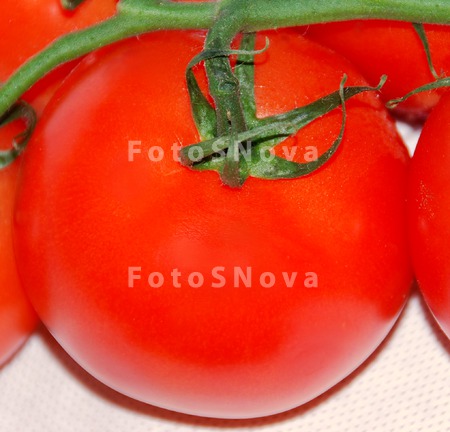 помидор,_томат,_т