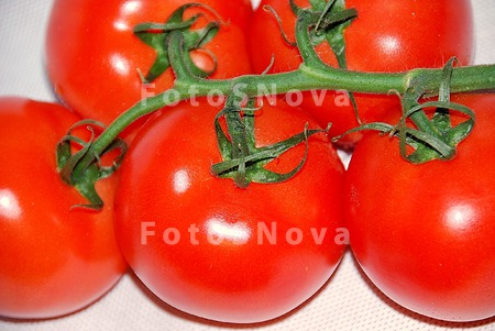 помидор,_томат,_т