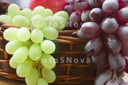 grapes_basket_fruits_green_win