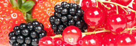 background_berry_black_blackbe