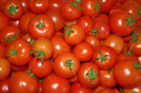помидоры,_томаты