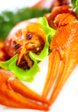 crawfish_crayfish_red_gourmet_
