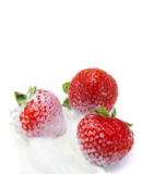 strawberry_milk_food_eating_sw