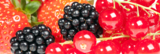 background_berry_black_blackbe