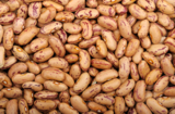 bean_legumes_dry_background_ve