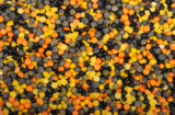 lentils_food_legumes_vegetable