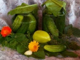 маринованные_ов