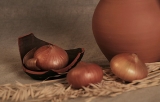 Кувшин,_луковица