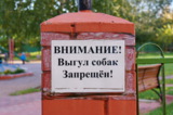 информационная,_