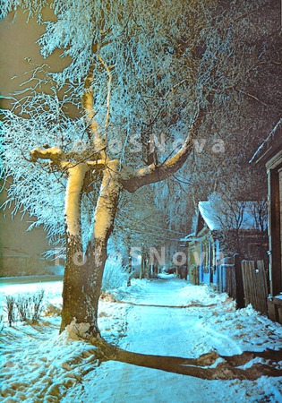 Зима,_улица,_дер