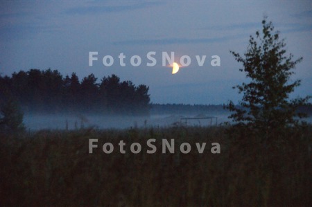 Ночь,_лес,_туман