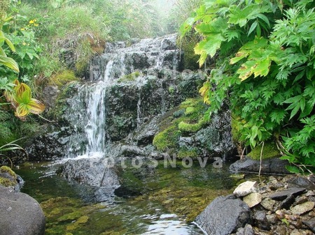 beautiful,_beauty,_green,_land