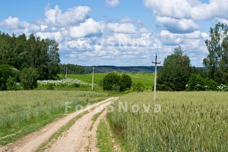 поле_дорога_прир