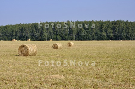 сельское_хозяйс