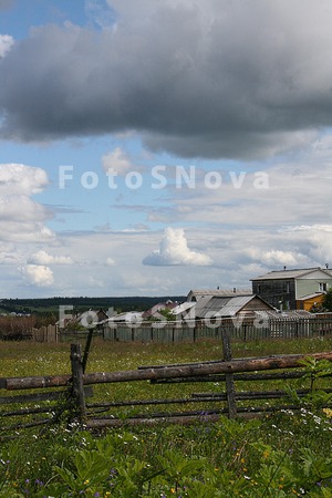 Поле,_лес,_просто