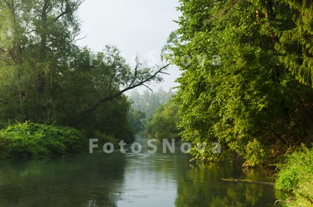 Подмосковье,_Вор