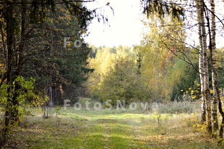 Осень,_осенний_л