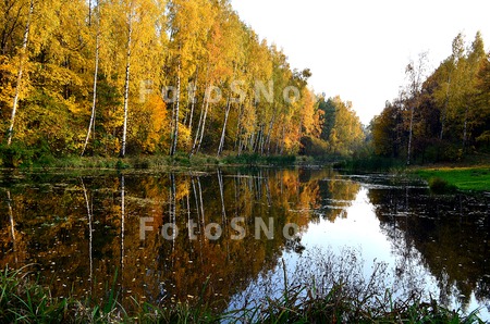 осень,_золото,_пр