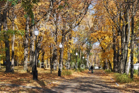 пейзаж,_городско