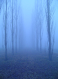 туман,_голубой,_у