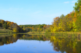 вода_,_водоём_,_го
