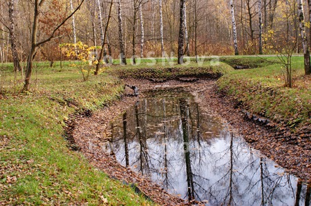 парк,_лес,_лесопа