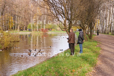 парк,_лес,_лесопа