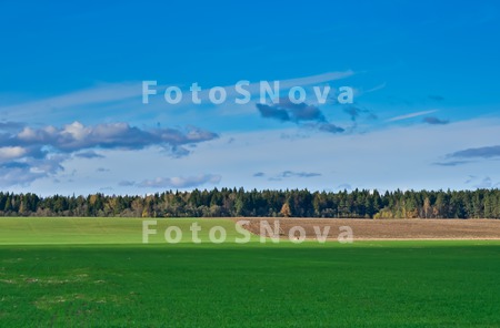 поле_лес_трава_о
