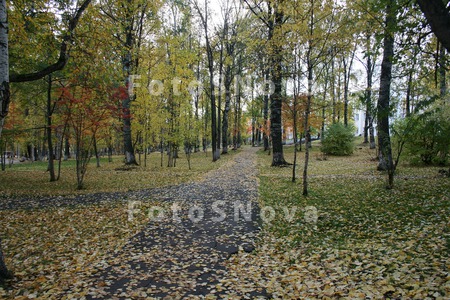 Город,_парк,_дере
