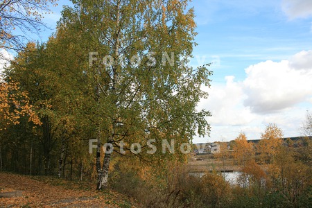Город,_парк,_дере