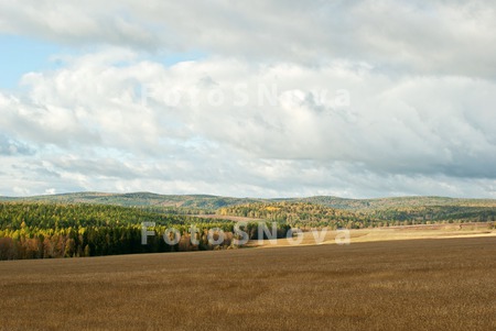 осень