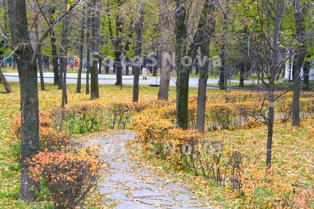 осень,_парк,_прир