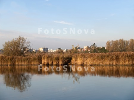 река,_преголя,_во