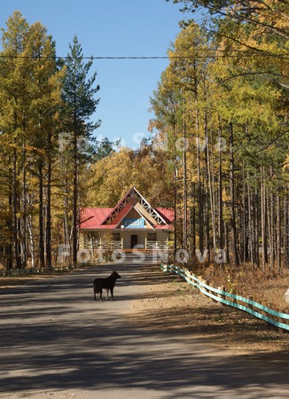 забайкалье,_дуль