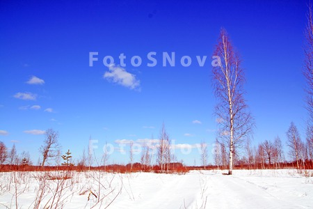 пейзаж_природа_з
