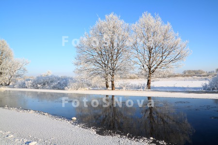 air_backgrounds_beach_birch_bl