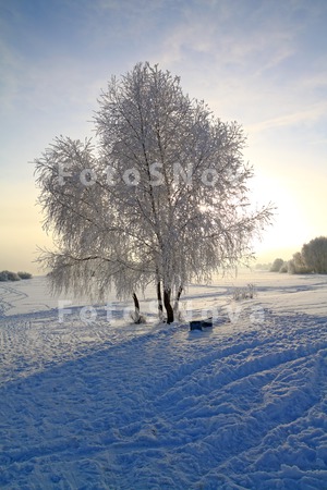 пейзаж_природа_з
