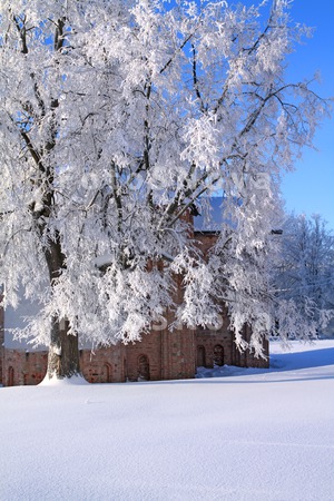 novgorod_city_tree_winter_fros