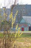 Весна,_дорога,_д