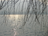 озеро,_вода,_блик
