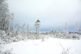 пейзаж_природа_з