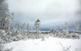 пейзаж_природа_з