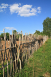 abstract_agriculture_autumn_ba