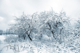 пейзаж_природа_з